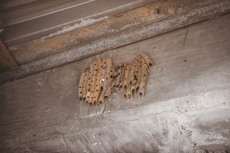 watermelon! more photos in the GREY MOSS journal! https://greymoss.com/watermelon-wednesday