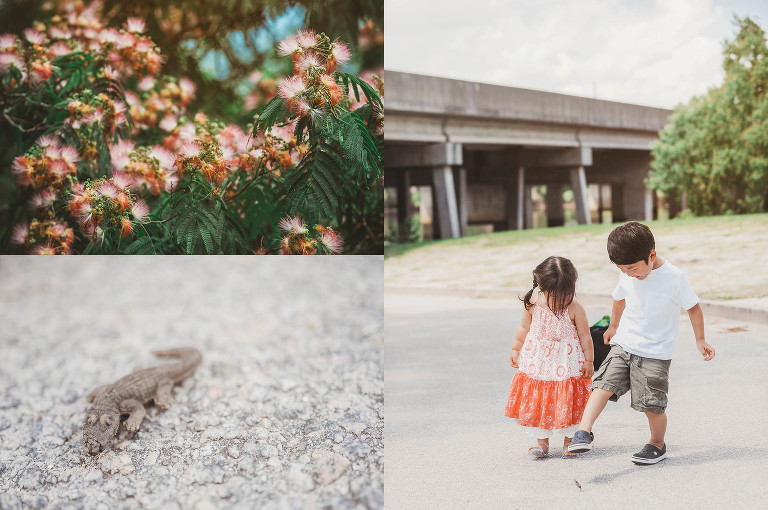 watermelon! more photos in the GREY MOSS journal! https://greymoss.com/watermelon-wednesday