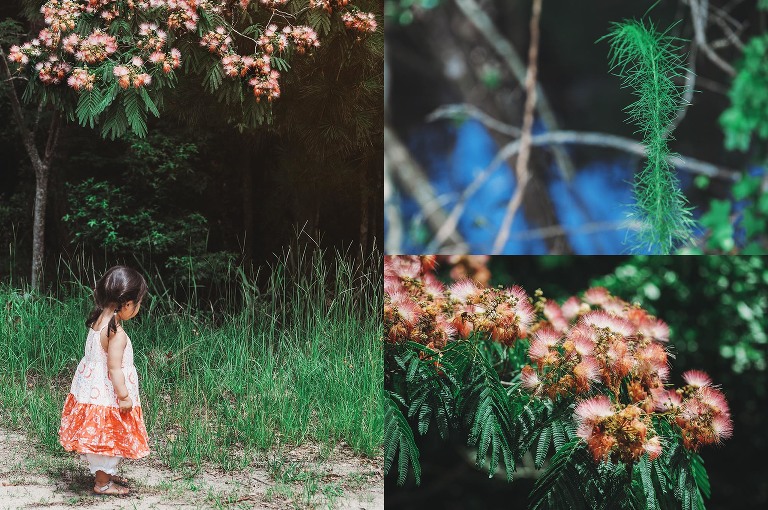 watermelon! more photos in the GREY MOSS journal! https://greymoss.com/watermelon-wednesday