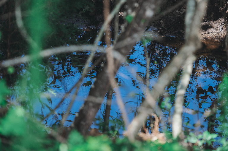 watermelon! more photos in the GREY MOSS journal! https://greymoss.com/watermelon-wednesday