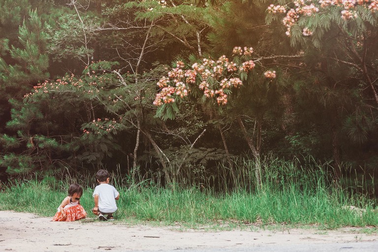 watermelon! more photos in the GREY MOSS journal! https://greymoss.com/watermelon-wednesday