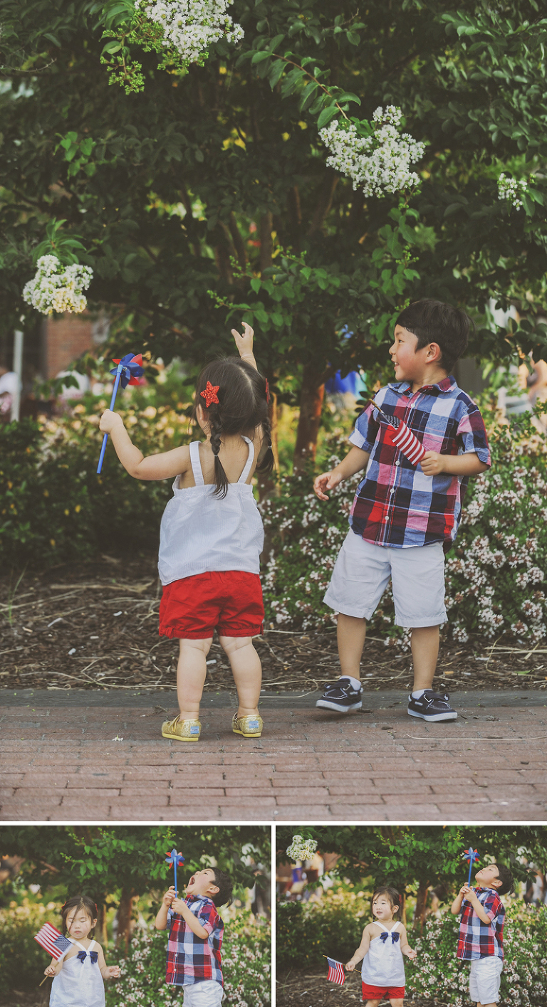 GREY MOSS : fireworks in savannah! more photos in the journal! https://greymoss.com/fireworks-in-savannah