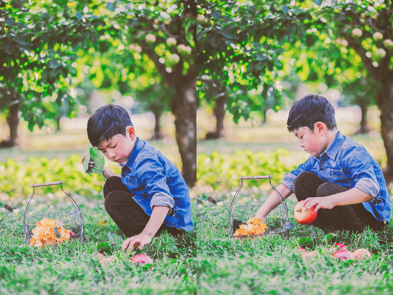 GREY MOSS : apple picking at evans orchard! more photos in the journal! https://greymoss.com/apple_picking_at_evans_orchard