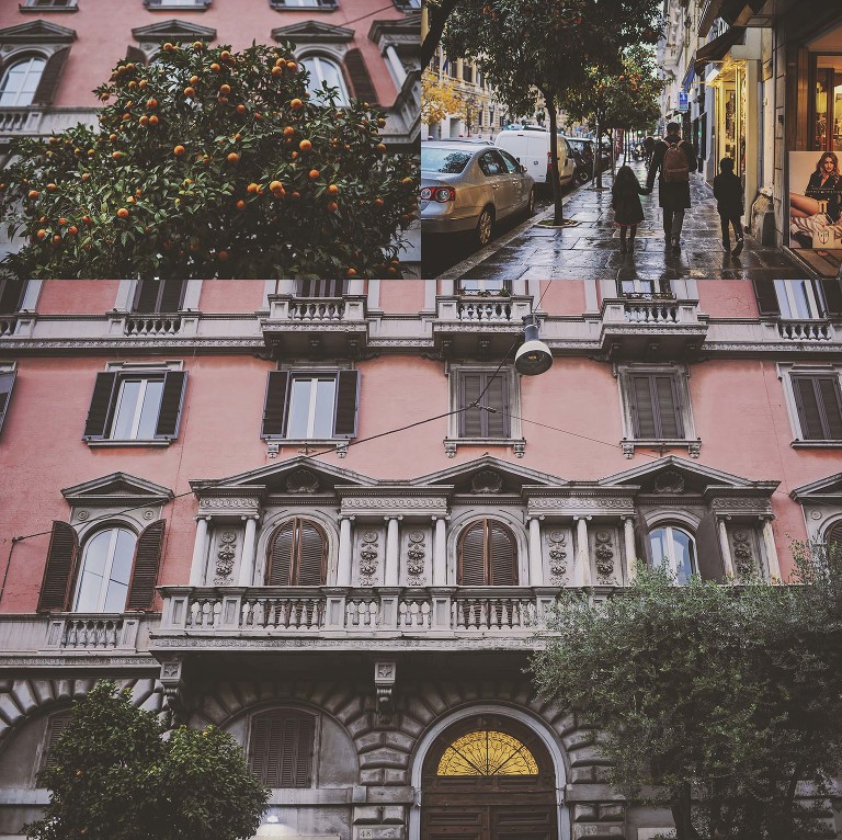 GREY MOSS : christmas in rome! more photos in the journal! https://greymoss.com/christmas-in-rome-part-two/