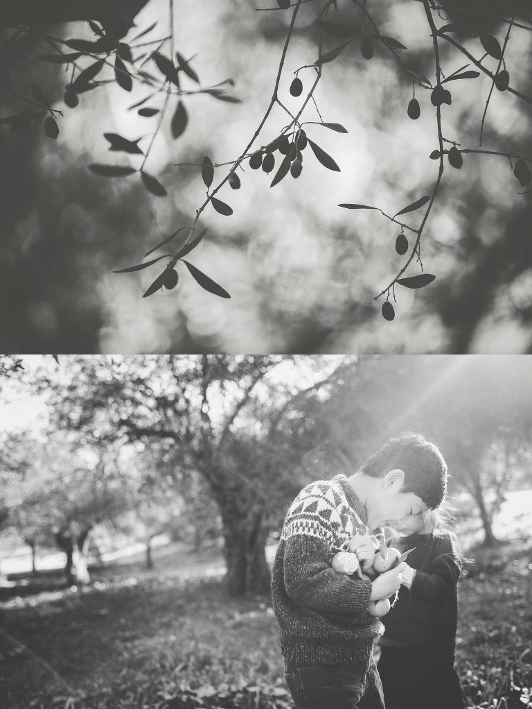 GREY MOSS : christmas in rome! more photos in the journal! https://greymoss.com/christmas-in-rome-part-six