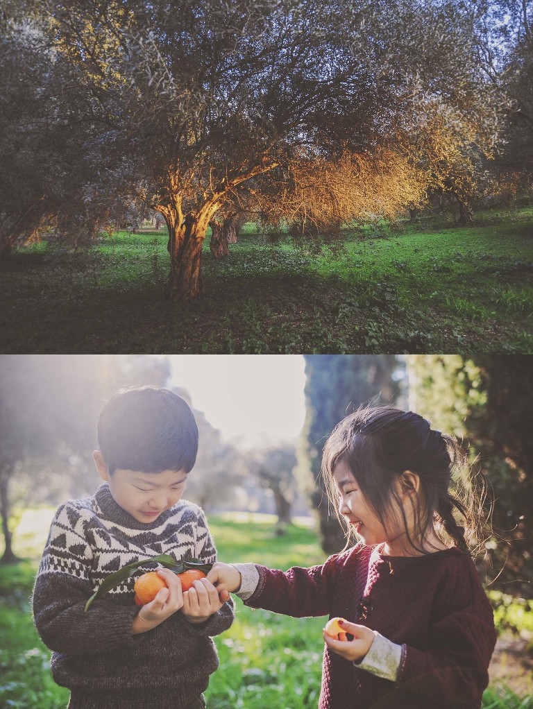 GREY MOSS : christmas in rome! more photos in the journal! https://greymoss.com/christmas-in-rome-part-six