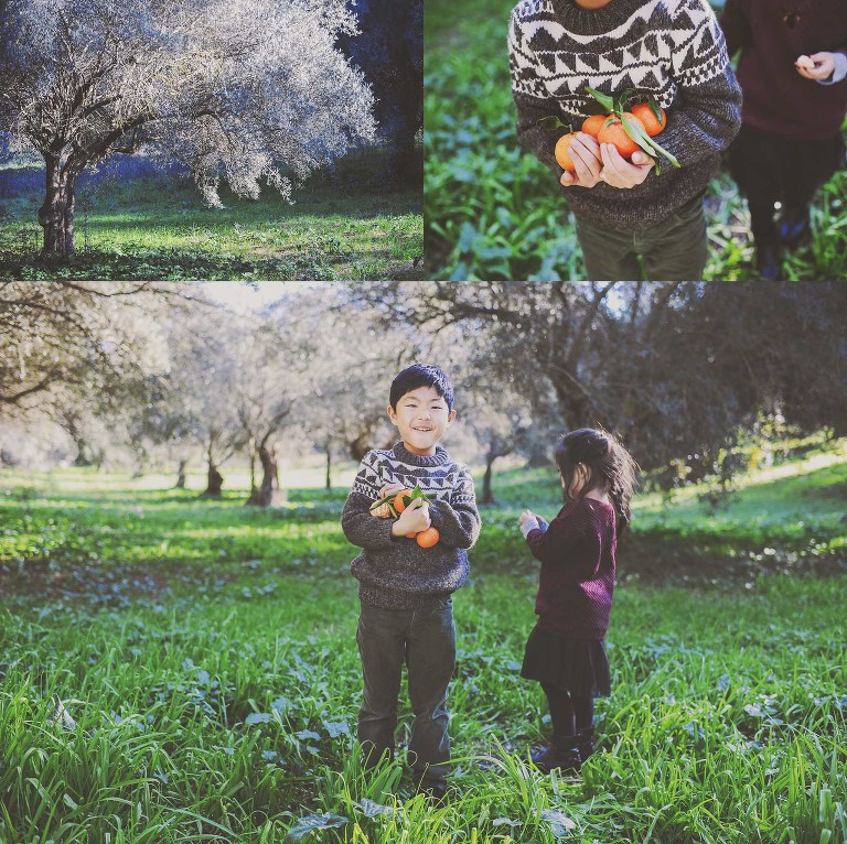 GREY MOSS : christmas in rome! more photos in the journal! https://greymoss.com/christmas-in-rome-part-six