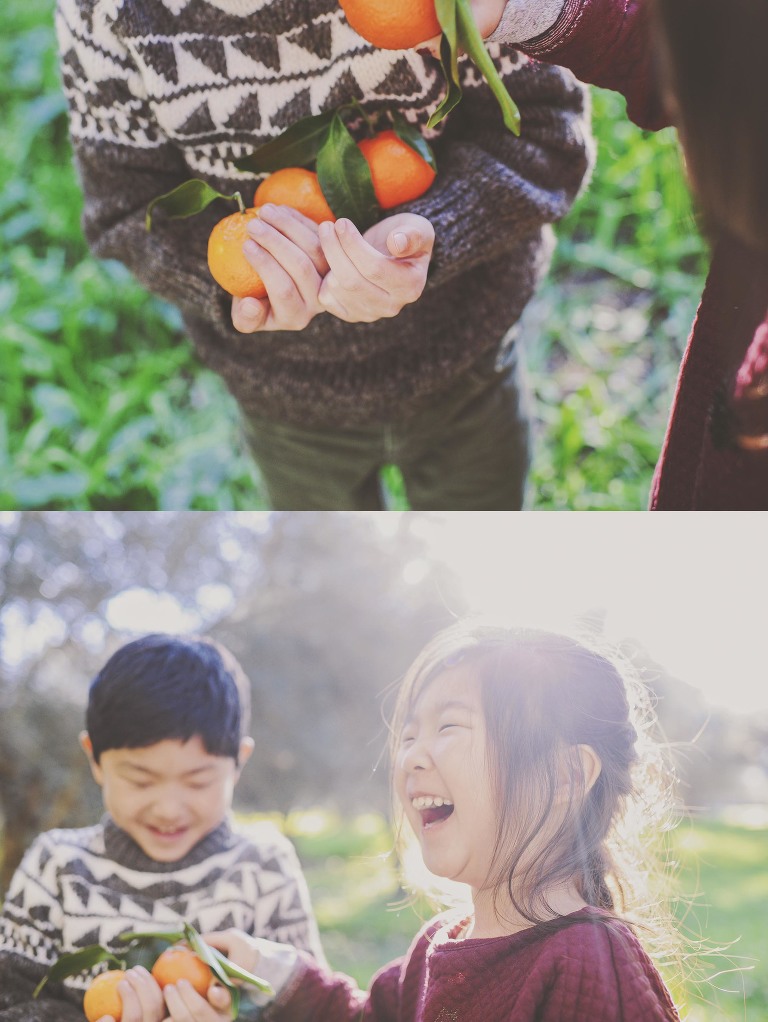 GREY MOSS : christmas in rome! more photos in the journal! https://greymoss.com/christmas-in-rome-part-six