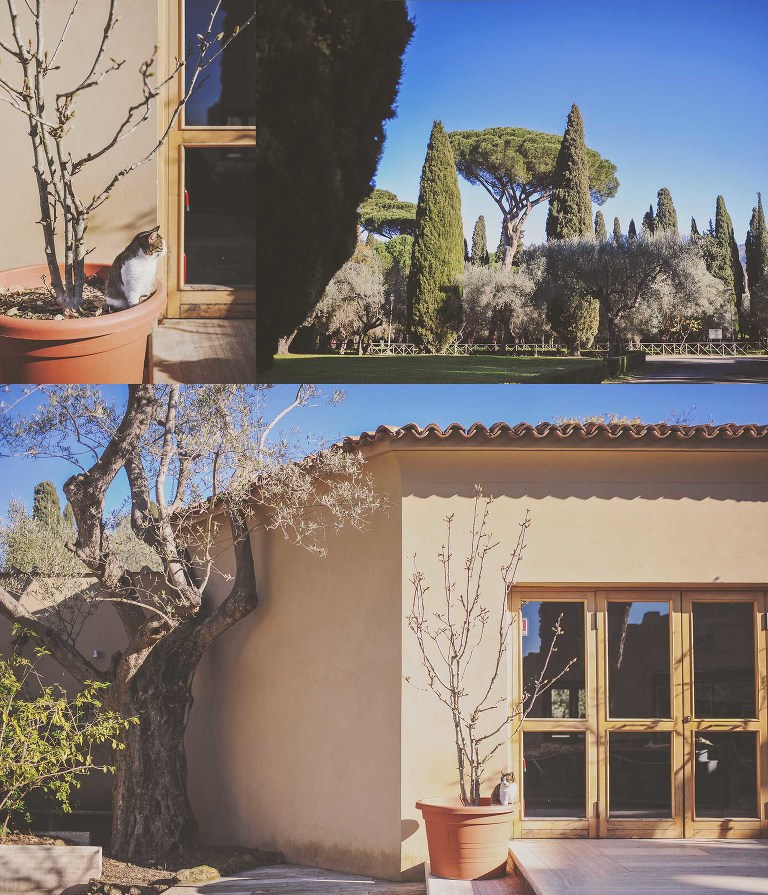 GREY MOSS : christmas in rome! more photos in the journal! https://greymoss.com/christmas-in-rome-part-six