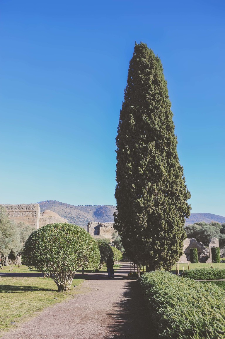 GREY MOSS : christmas in rome! more photos in the journal! https://greymoss.com/christmas-in-rome-part-six