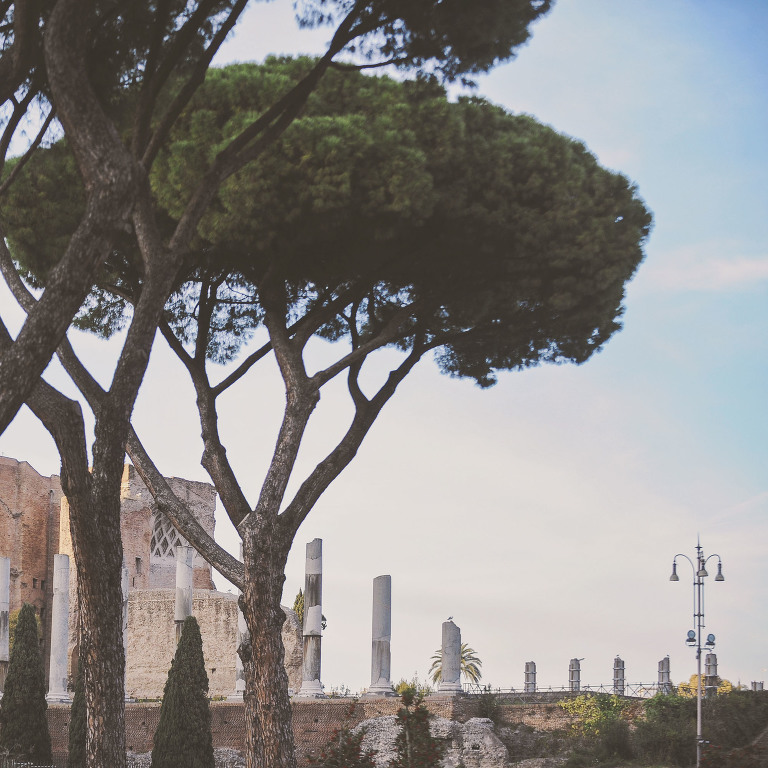 GREY MOSS : christmas in rome! more photos in the journal! https://greymoss.com/christmas-in-rome-part-four/