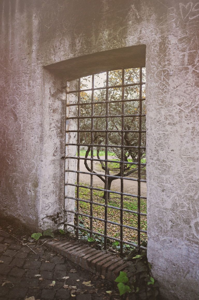 GREY MOSS : christmas in rome! more photos in the journal! https://greymoss.com/christmas-in-rome-part-four/