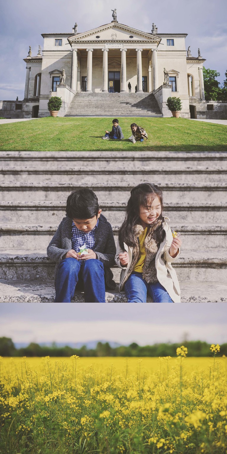 GREY MOSS : yellow wildflowers at la rotonda! more photos in the journal! https://greymoss.com/yellow-wildflowers-at-la-rotonda/