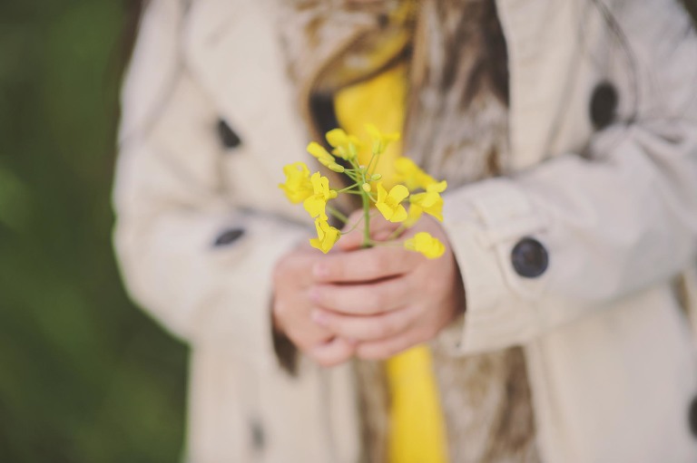GREY MOSS : yellow wildflowers at la rotonda! more photos in the journal! https://greymoss.com/yellow-wildflowers-at-la-rotonda/