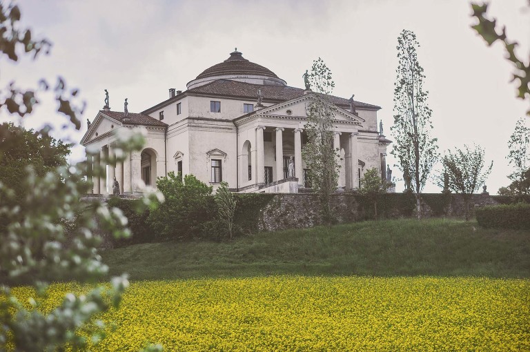 GREY MOSS : yellow wildflowers at la rotonda! more photos in the journal! https://greymoss.com/yellow-wildflowers-at-la-rotonda/