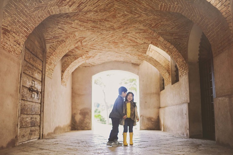 GREY MOSS : yellow wildflowers at la rotonda! more photos in the journal! https://greymoss.com/yellow-wildflowers-at-la-rotonda/