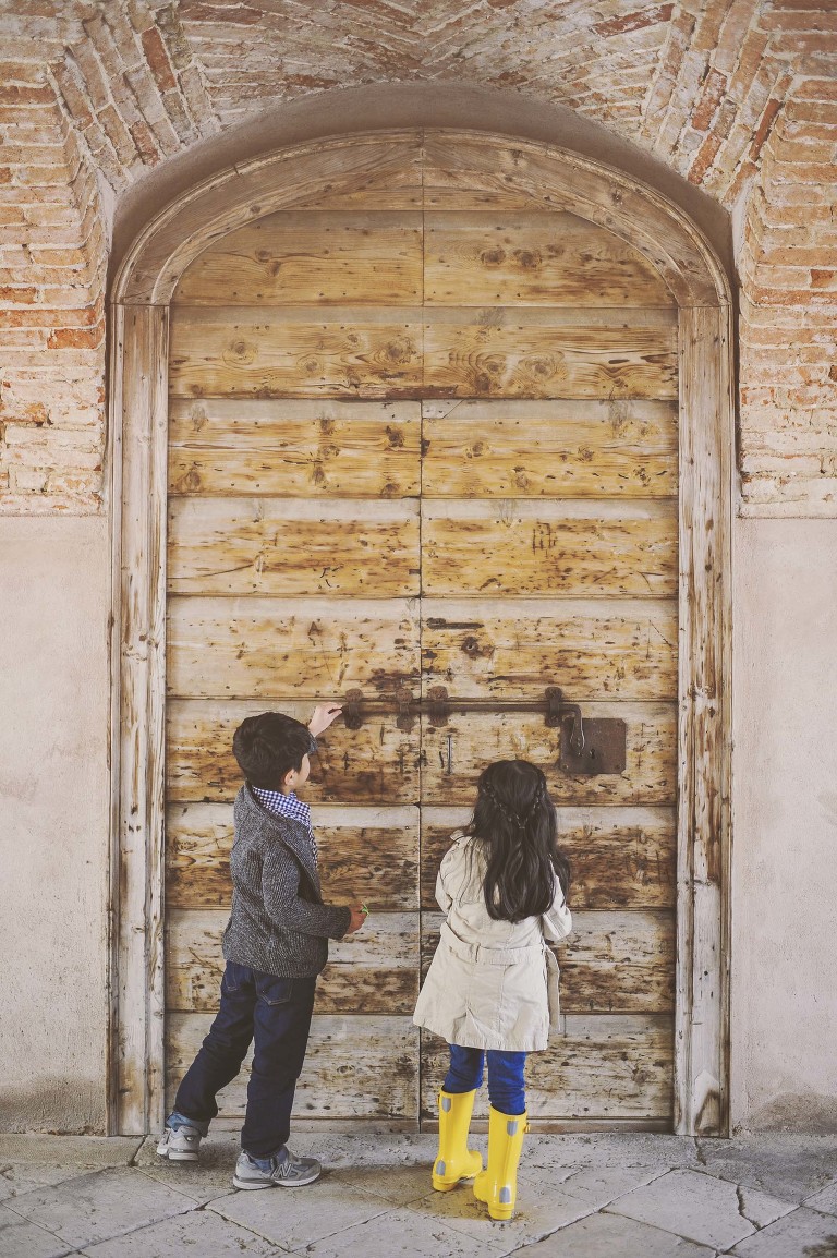 GREY MOSS : yellow wildflowers at la rotonda! more photos in the journal! https://greymoss.com/yellow-wildflowers-at-la-rotonda/