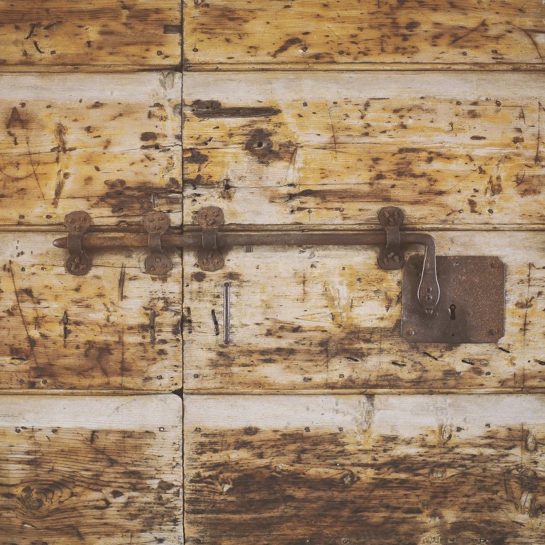 GREY MOSS : yellow wildflowers at la rotonda! more photos in the journal! https://greymoss.com/yellow-wildflowers-at-la-rotonda/