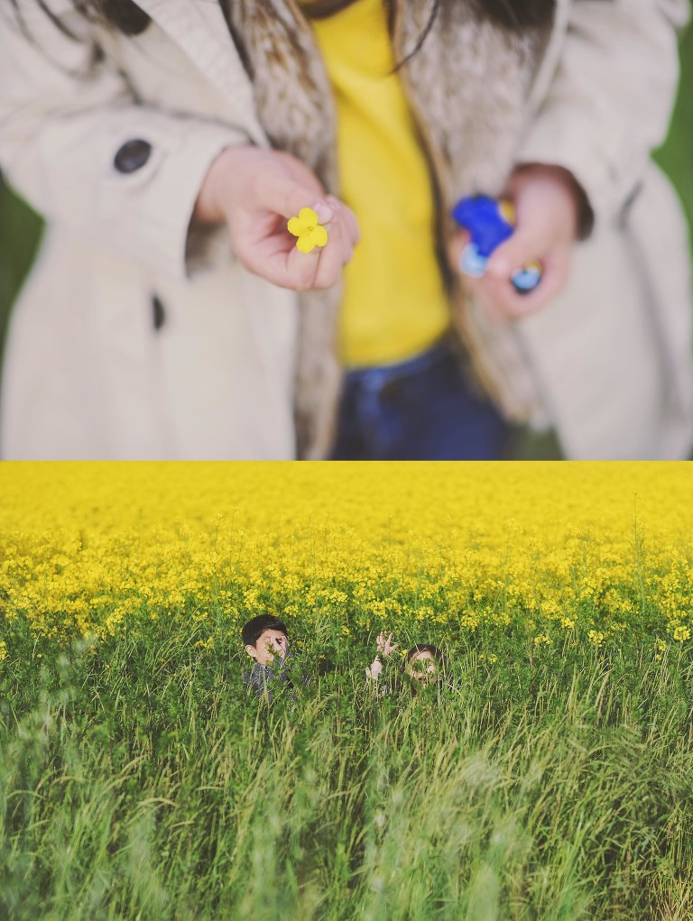 GREY MOSS : yellow wildflowers at la rotonda! more photos in the journal! https://greymoss.com/yellow-wildflowers-at-la-rotonda/