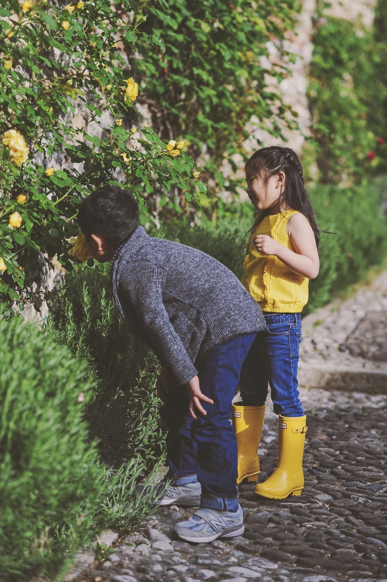 GREY MOSS : yellow wildflowers at la rotonda! more photos in the journal! https://greymoss.com/yellow-wildflowers-at-la-rotonda/