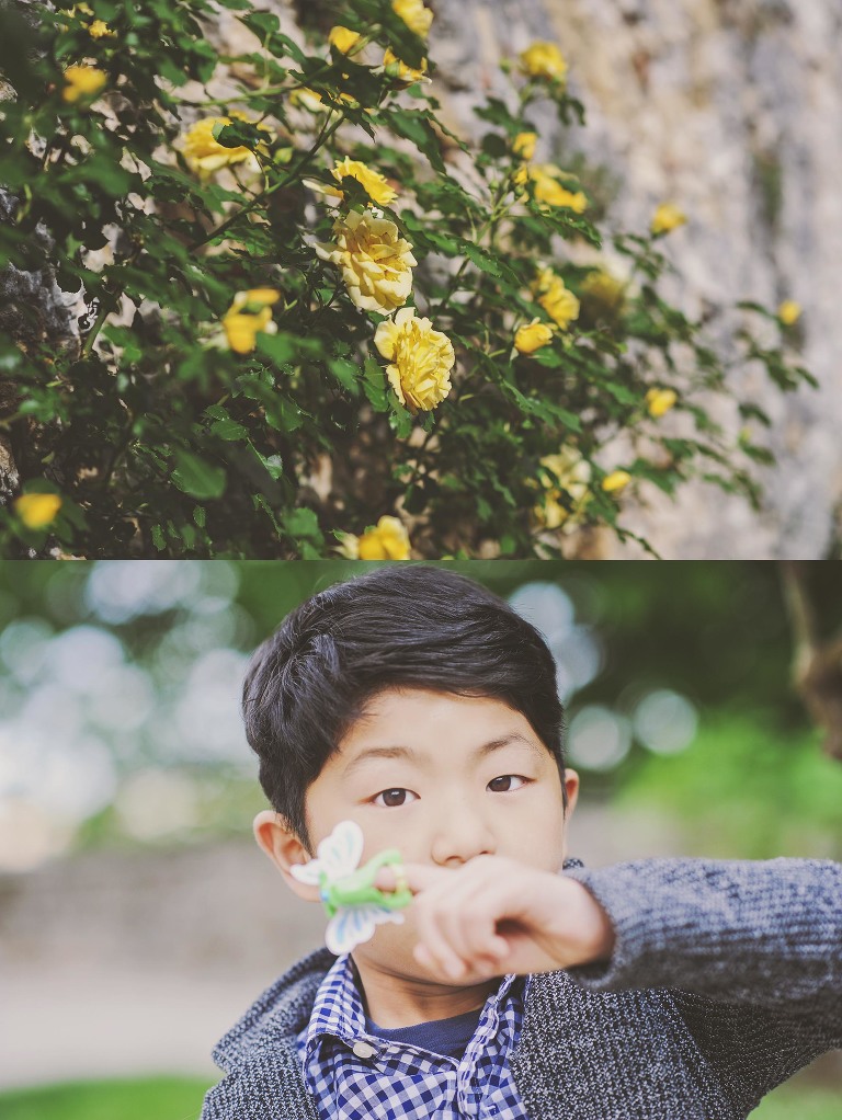 GREY MOSS : yellow wildflowers at la rotonda! more photos in the journal! https://greymoss.com/yellow-wildflowers-at-la-rotonda/