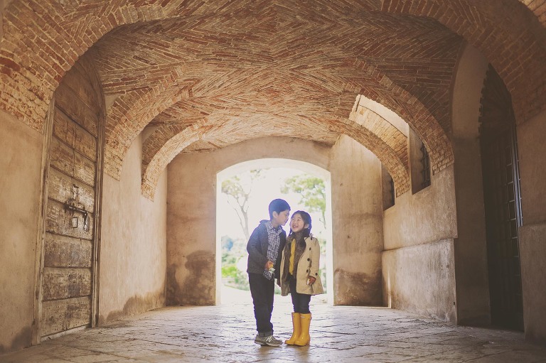 GREY MOSS : yellow wildflowers at la rotonda! more photos in the journal! https://greymoss.com/yellow-wildflowers-at-la-rotonda/