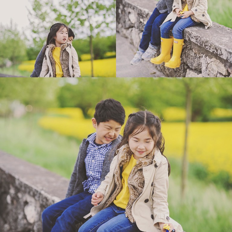 GREY MOSS : yellow wildflowers at la rotonda! more photos in the journal! https://greymoss.com/yellow-wildflowers-at-la-rotonda/