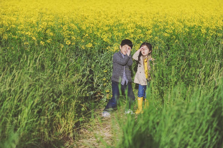 GREY MOSS : yellow wildflowers at la rotonda! more photos in the journal! https://greymoss.com/yellow-wildflowers-at-la-rotonda/