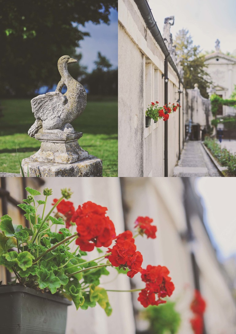 GREY MOSS : yellow wildflowers at la rotonda! more photos in the journal! https://greymoss.com/yellow-wildflowers-at-la-rotonda/
