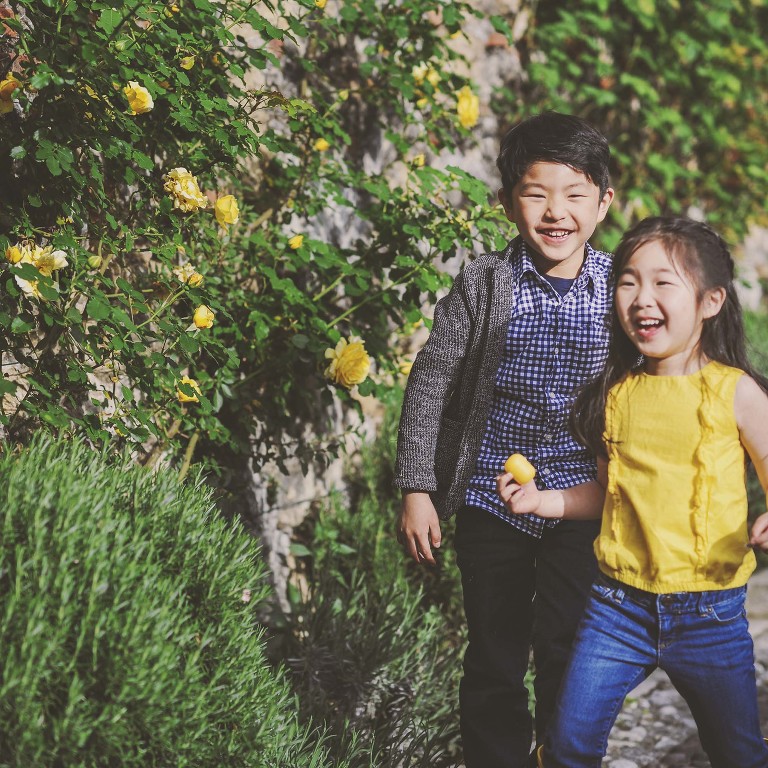 GREY MOSS : yellow wildflowers at la rotonda! more photos in the journal! https://greymoss.com/yellow-wildflowers-at-la-rotonda/