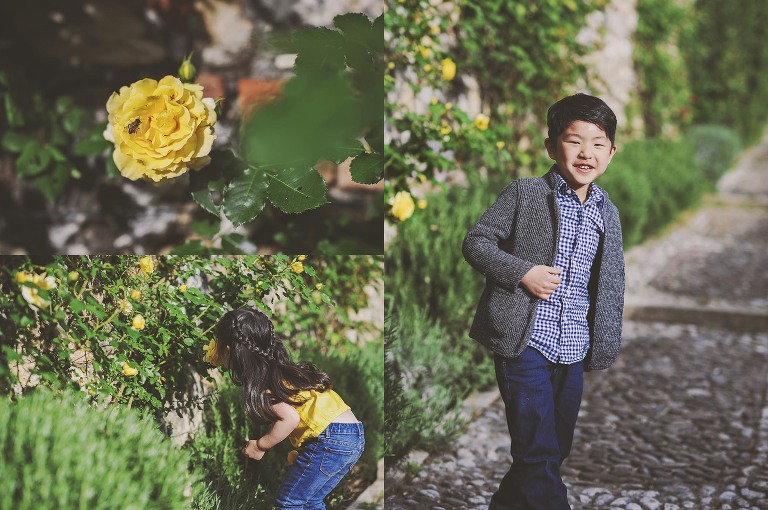 GREY MOSS : yellow wildflowers at la rotonda! more photos in the journal! https://greymoss.com/yellow-wildflowers-at-la-rotonda/