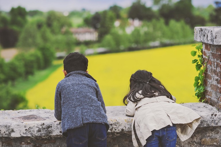 GREY MOSS : yellow wildflowers at la rotonda! more photos in the journal! https://greymoss.com/yellow-wildflowers-at-la-rotonda/