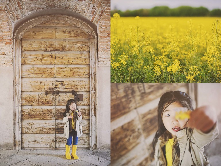 GREY MOSS : yellow wildflowers at la rotonda! more photos in the journal! https://greymoss.com/yellow-wildflowers-at-la-rotonda/