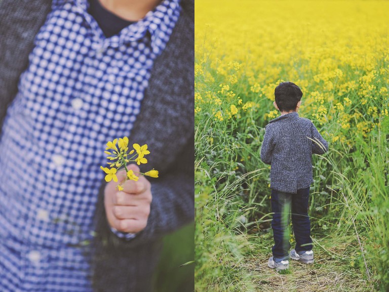 GREY MOSS : yellow wildflowers at la rotonda! more photos in the journal! https://greymoss.com/yellow-wildflowers-at-la-rotonda/