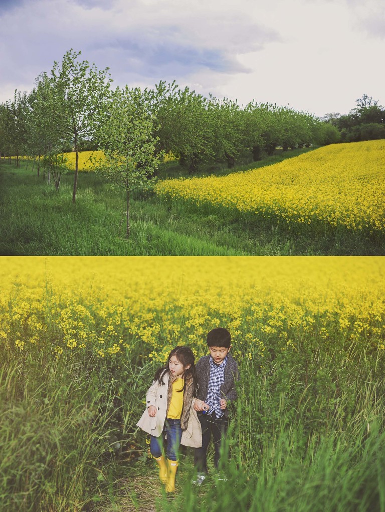 GREY MOSS : yellow wildflowers at la rotonda! more photos in the journal! https://greymoss.com/yellow-wildflowers-at-la-rotonda/
