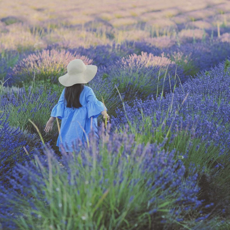 GREY MOSS : summer in provence! more photos in the journal! https://greymoss.com/summer-in-provence-part-two