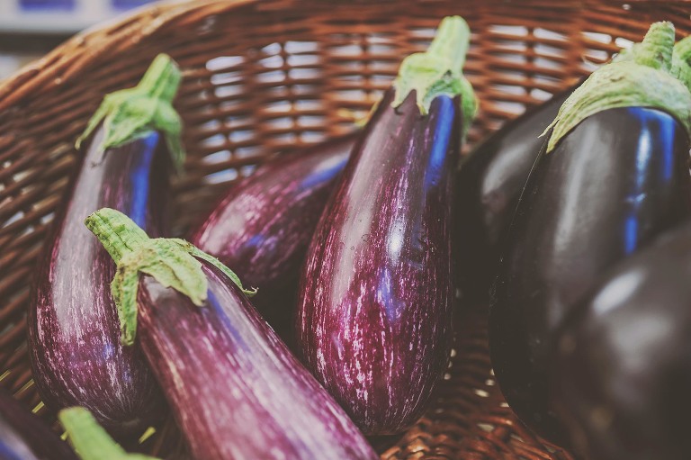 GREY MOSS : summer in provence! more photos in the journal! https://greymoss.com/summer-in-provence-part-three