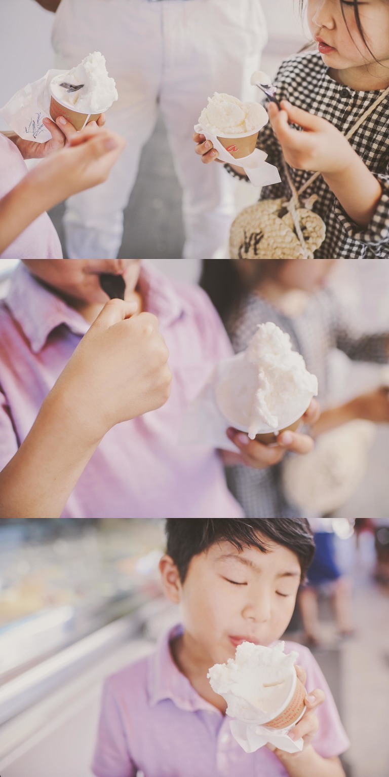 GREY MOSS : summer in provence! more photos in the journal! https://greymoss.com/summer-in-provence-part-three