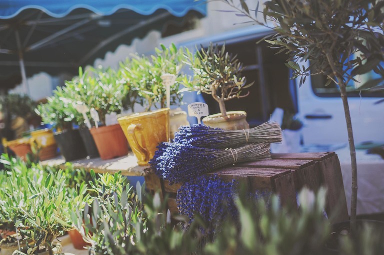 GREY MOSS : summer in provence! more photos in the journal! https://greymoss.com/summer-in-provence-part-three