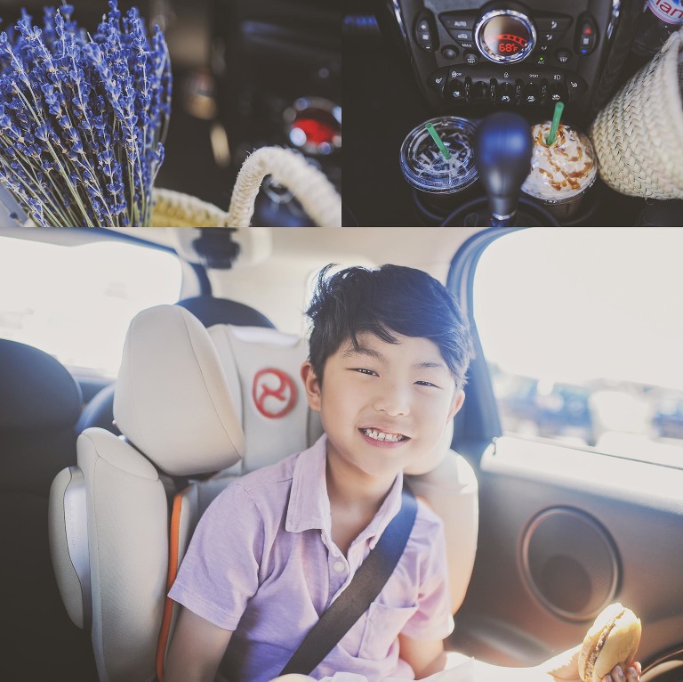 GREY MOSS : summer in provence! more photos in the journal! https://greymoss.com/summer-in-provence-part-three