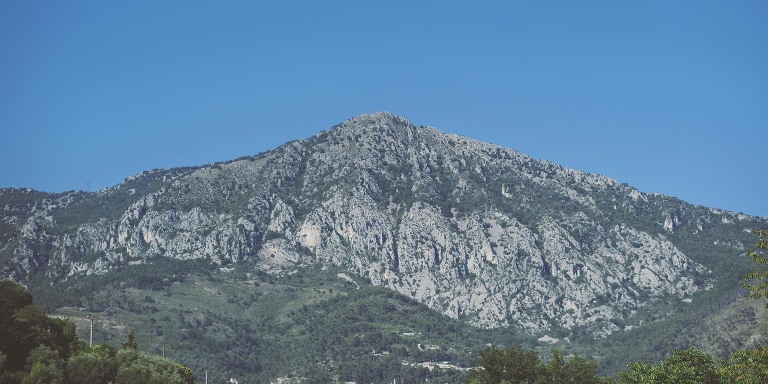 GREY MOSS : summer in provence! more photos in the journal! https://greymoss.com/summer-in-provence-part-three