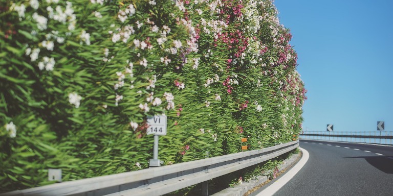 GREY MOSS : summer in provence! more photos in the journal! https://greymoss.com/summer-in-provence-part-three