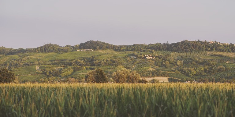 GREY MOSS : summer in provence! more photos in the journal! https://greymoss.com/summer-in-provence-part-three