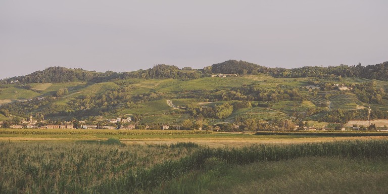 GREY MOSS : summer in provence! more photos in the journal! https://greymoss.com/summer-in-provence-part-three