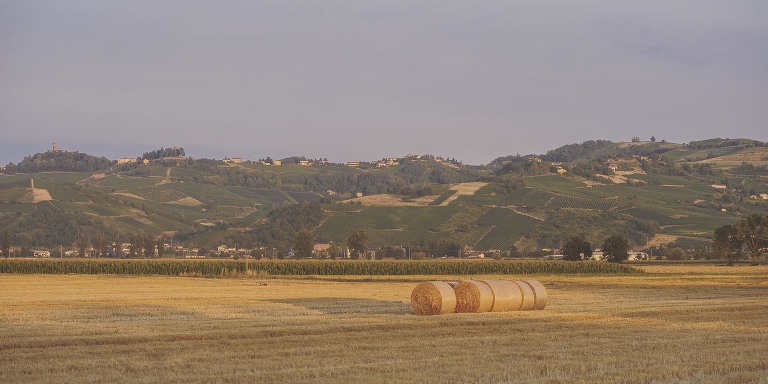 GREY MOSS : summer in provence! more photos in the journal! https://greymoss.com/summer-in-provence-part-three
