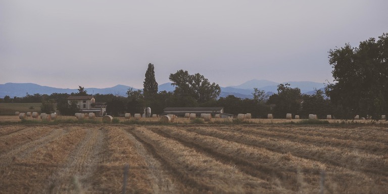 GREY MOSS : summer in provence! more photos in the journal! https://greymoss.com/summer-in-provence-part-three
