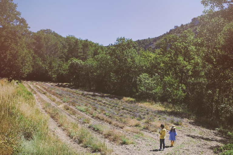 GREY MOSS : summer in provence! more photos in the journal! https://greymoss.com/summer-in-provence-part-two