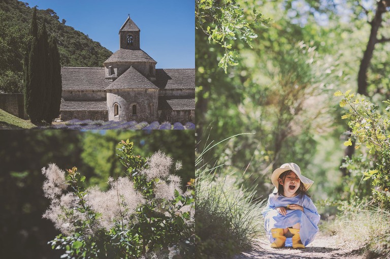 GREY MOSS : summer in provence! more photos in the journal! https://greymoss.com/summer-in-provence-part-two