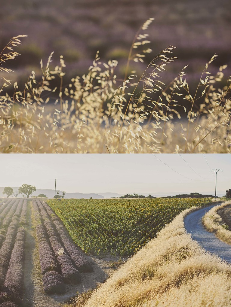 GREY MOSS : summer in provence! more photos in the journal! https://greymoss.com/summer-in-provence-part-two