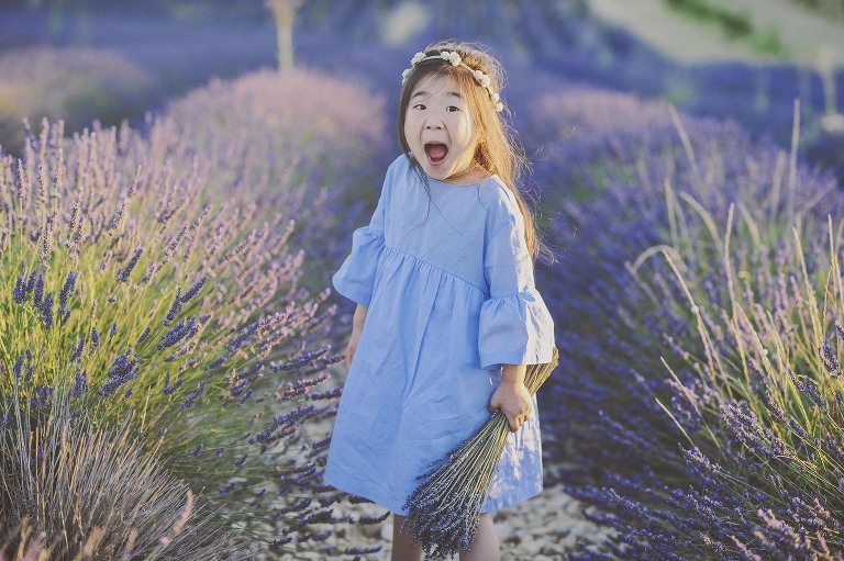 GREY MOSS : summer in provence! more photos in the journal! https://greymoss.com/summer-in-provence-part-two